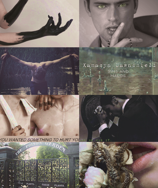 Mood Board