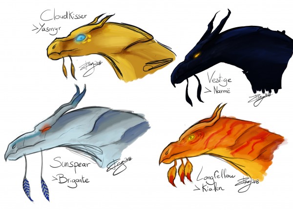Sun Hawks dragonhawks